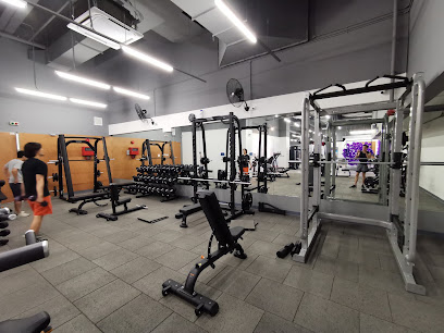 24-Hour Gym: Anytime Fitness Bandar Puteri Puchong @ IOI Rio, Puchong, Selangor. in Puchong