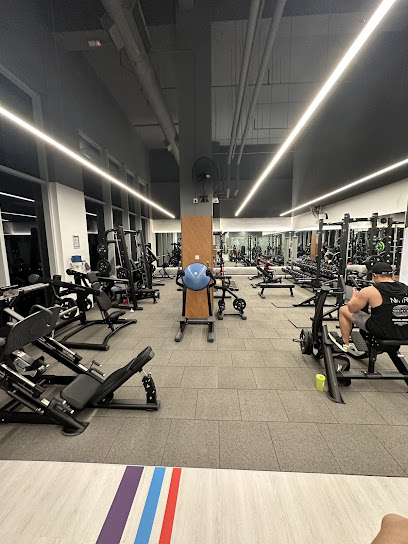 24-Hour Gym: Anytime Fitness Publika Solaris Dutamas, Kuala Lumpur. in Kuala Lumpur