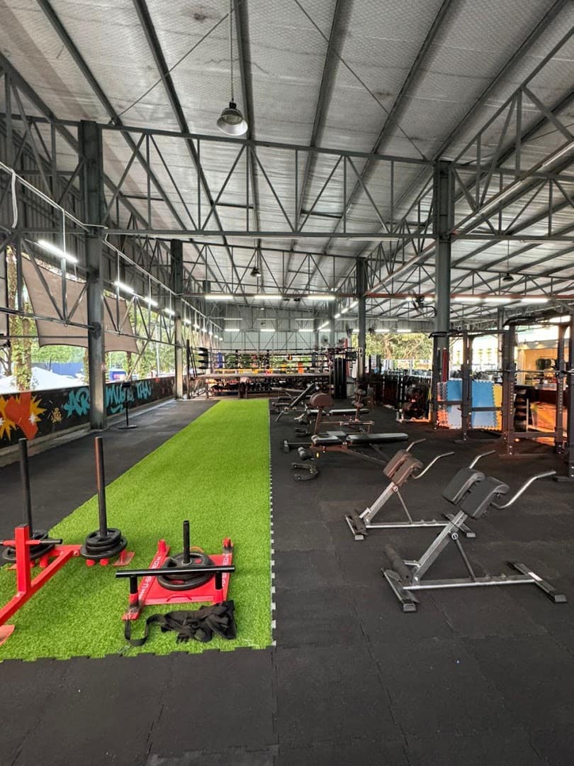 Ara Gym — photo 1