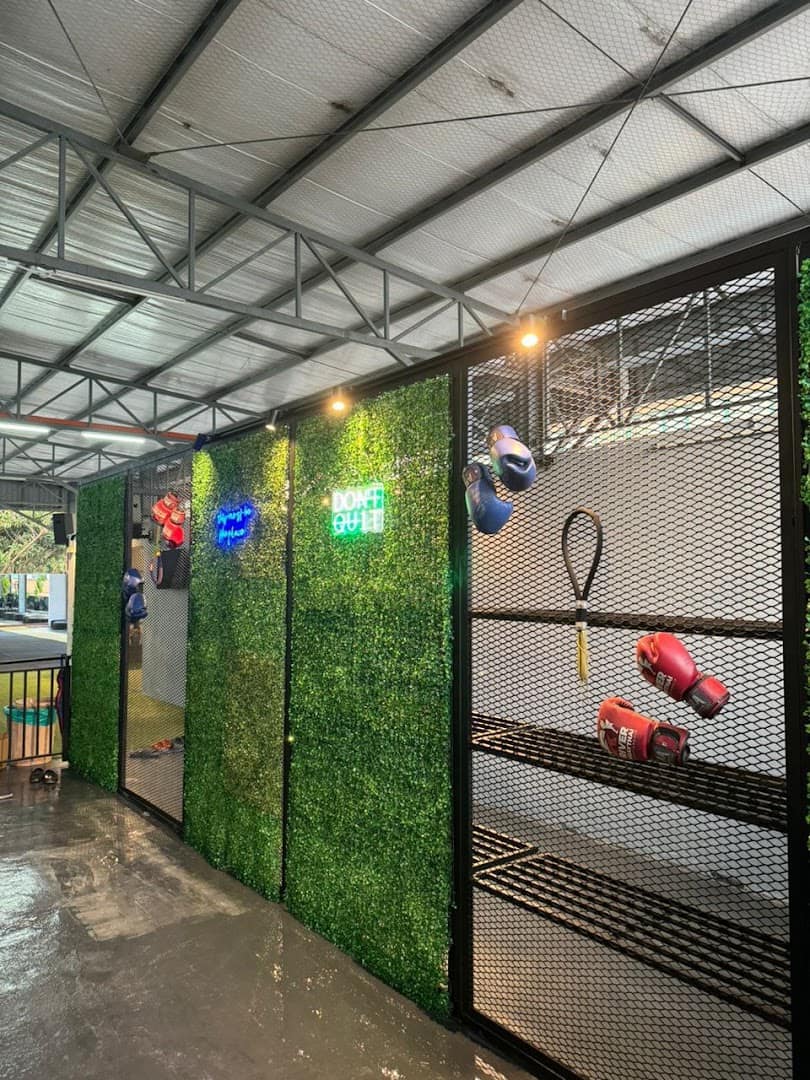 Ara Gym — photo 4