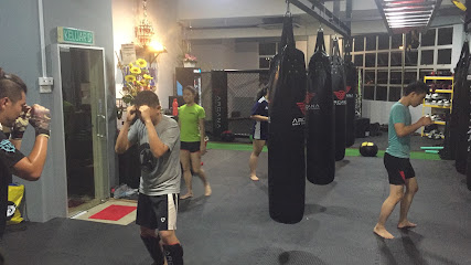Arcana MMA & Fitness in Johor Bahru
