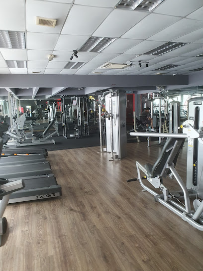 Bull Fitness in Bangi