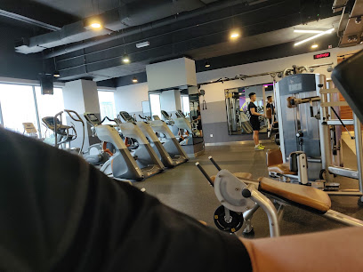 Celebrity Fitness Gym - Dpulze in Cyberjaya