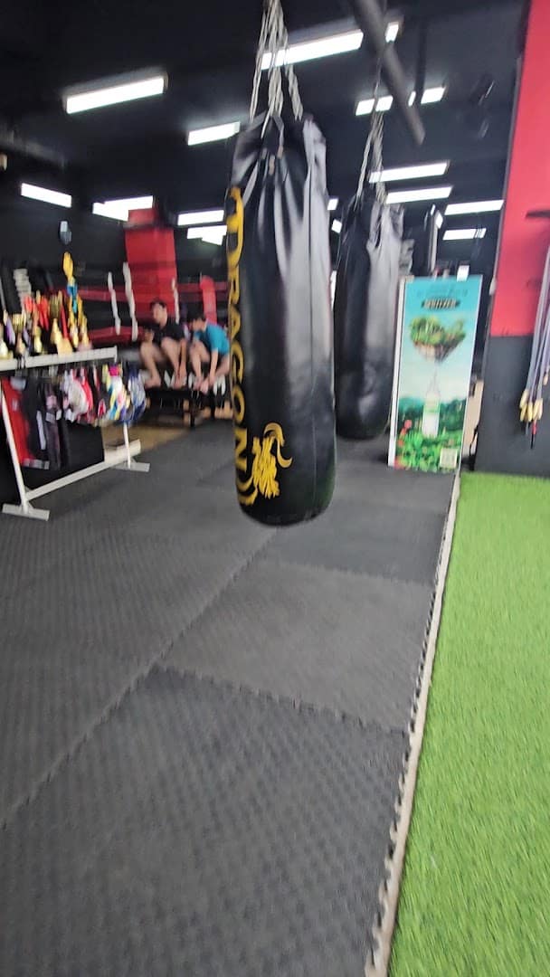 Dragon Muay Thai Club — photo 2