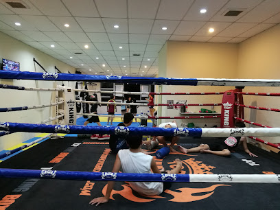 Dynamite Muay Thai JB in Skudai
