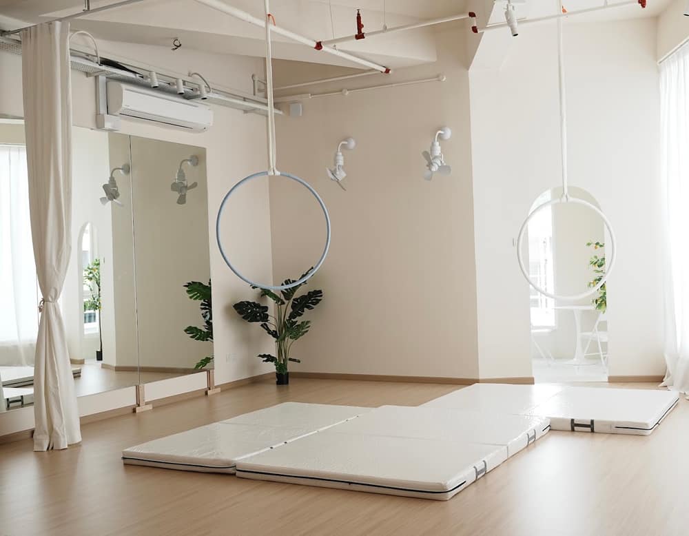 Élevé Aerial Art & Yoga Studio — photo 1