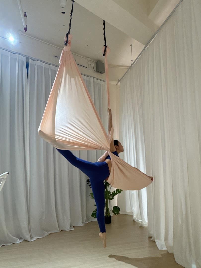 Élevé Aerial Art & Yoga Studio — photo 5