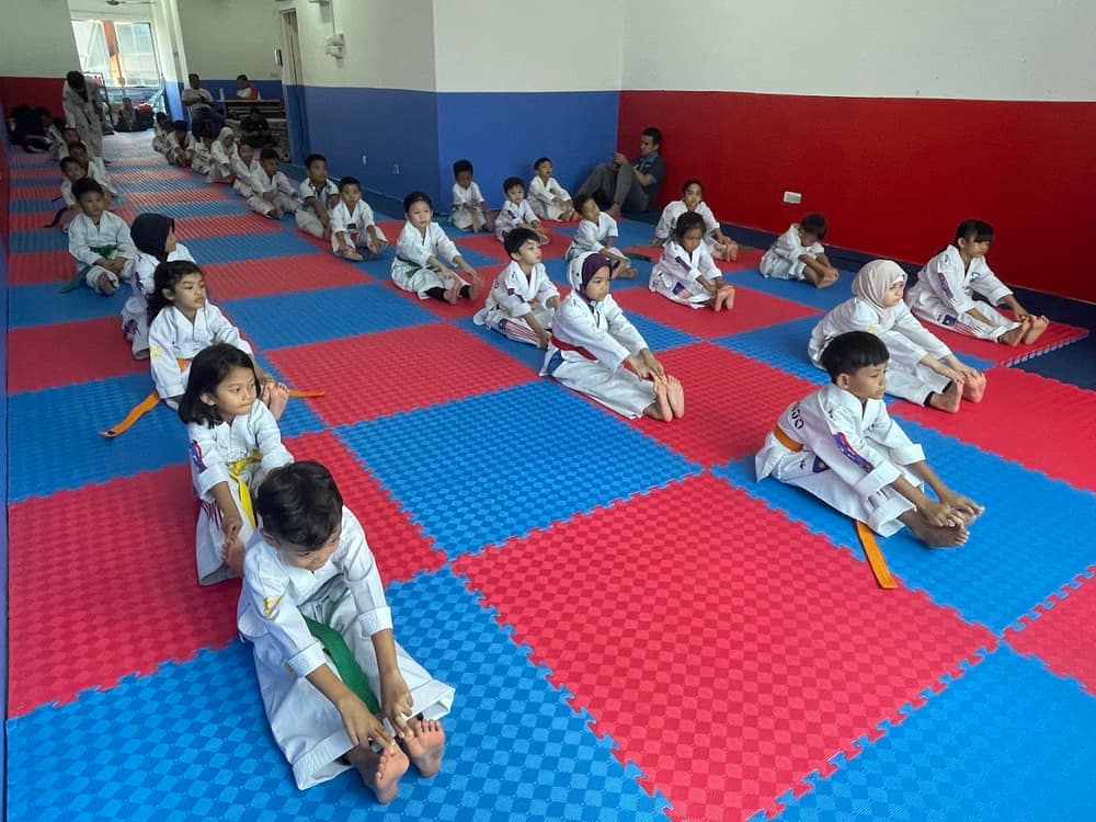 GYM TAEKWONDO PUTRAJAYA — photo 3