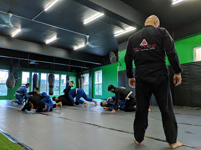 HammerFist Martial Arts Gym in Cyberjaya