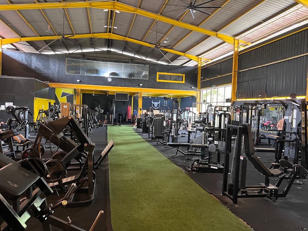 Iron Bull Gym — photo 1