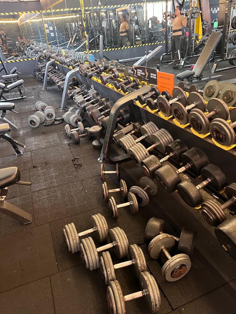 Iron Bull Gym — photo 2
