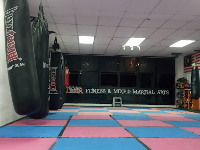 Lekir Fitness & Mixed Martial Arts Academy in Shah Alam