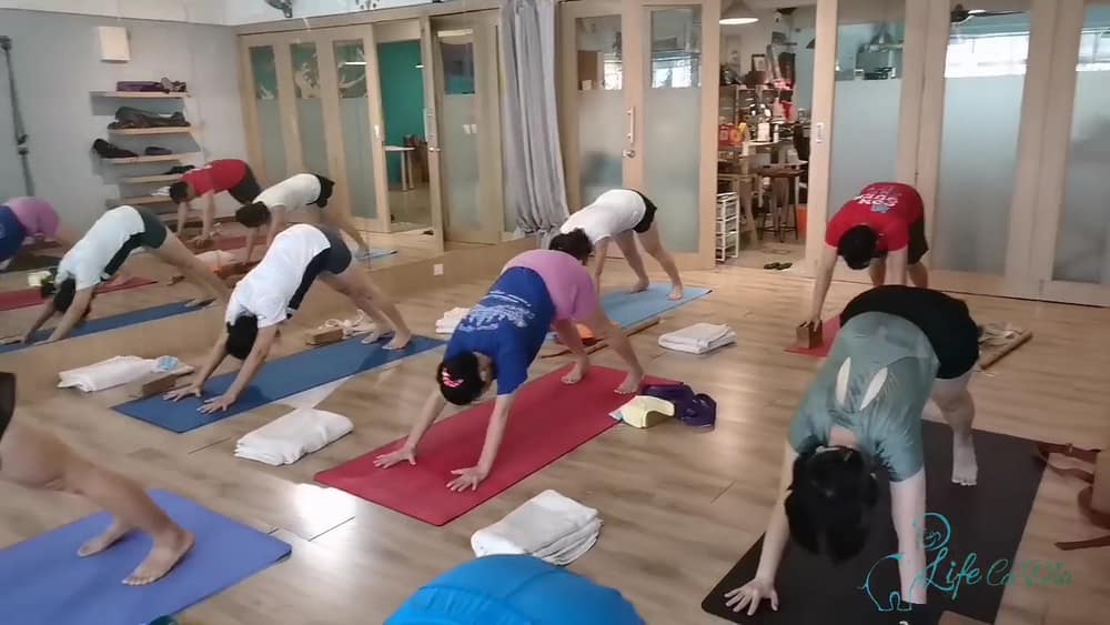 Life Ca-Dio Yoga Studio — photo 2