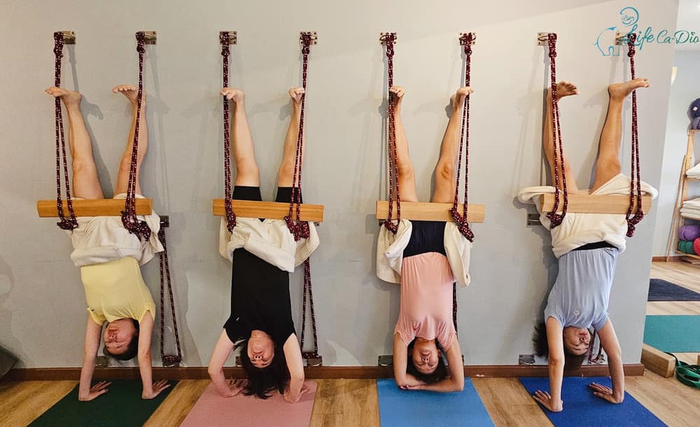 Life Ca-Dio Yoga Studio — photo 3