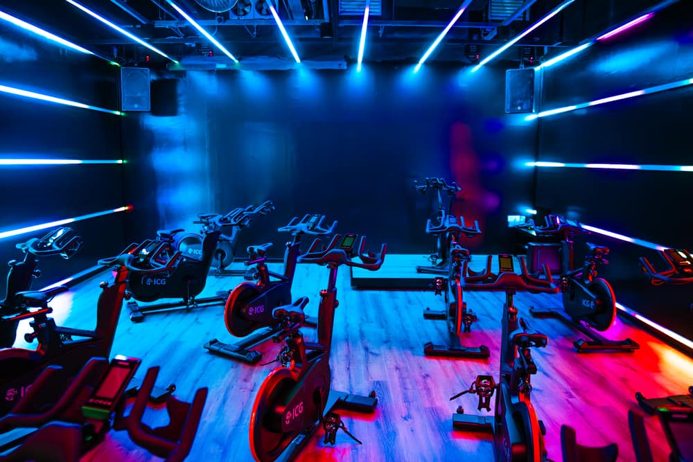 LifenFitness Seventeen — photo 6