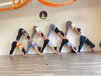NaturalGreen Yoga Studio in Skudai