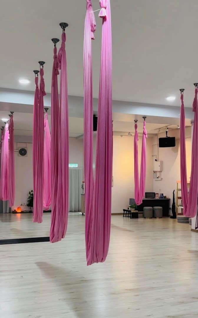Netizen Happy Yoga Dance Studio — photo 5