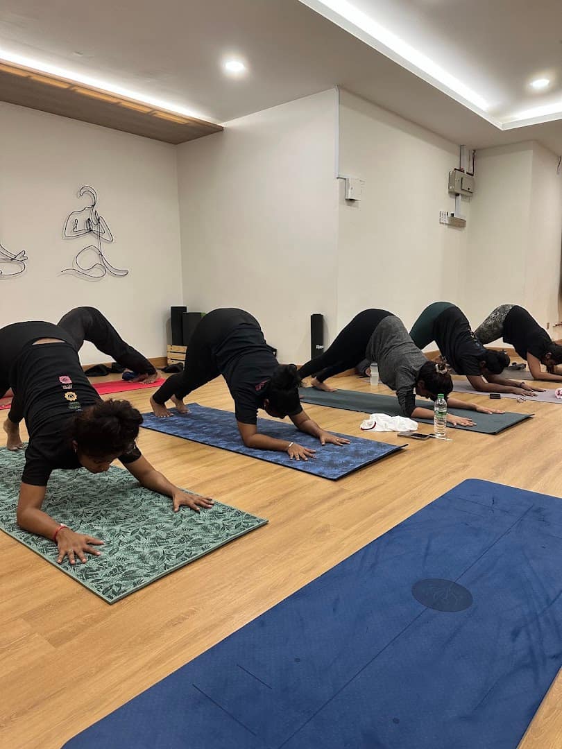 Pashini Yoga — photo 6