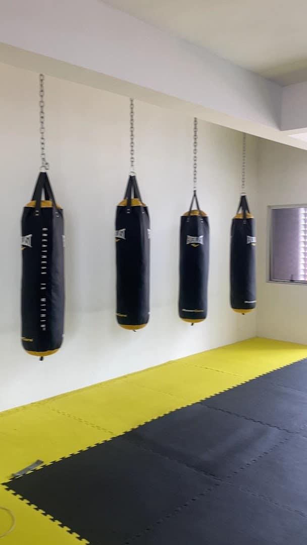 Peak MMA — photo 5
