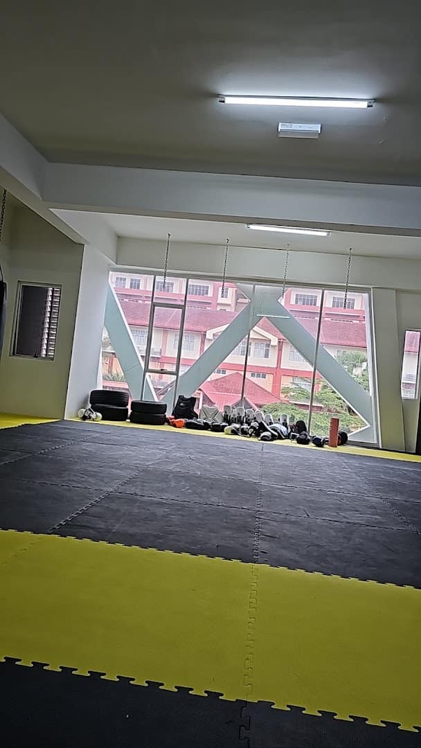 Peak MMA — photo 6