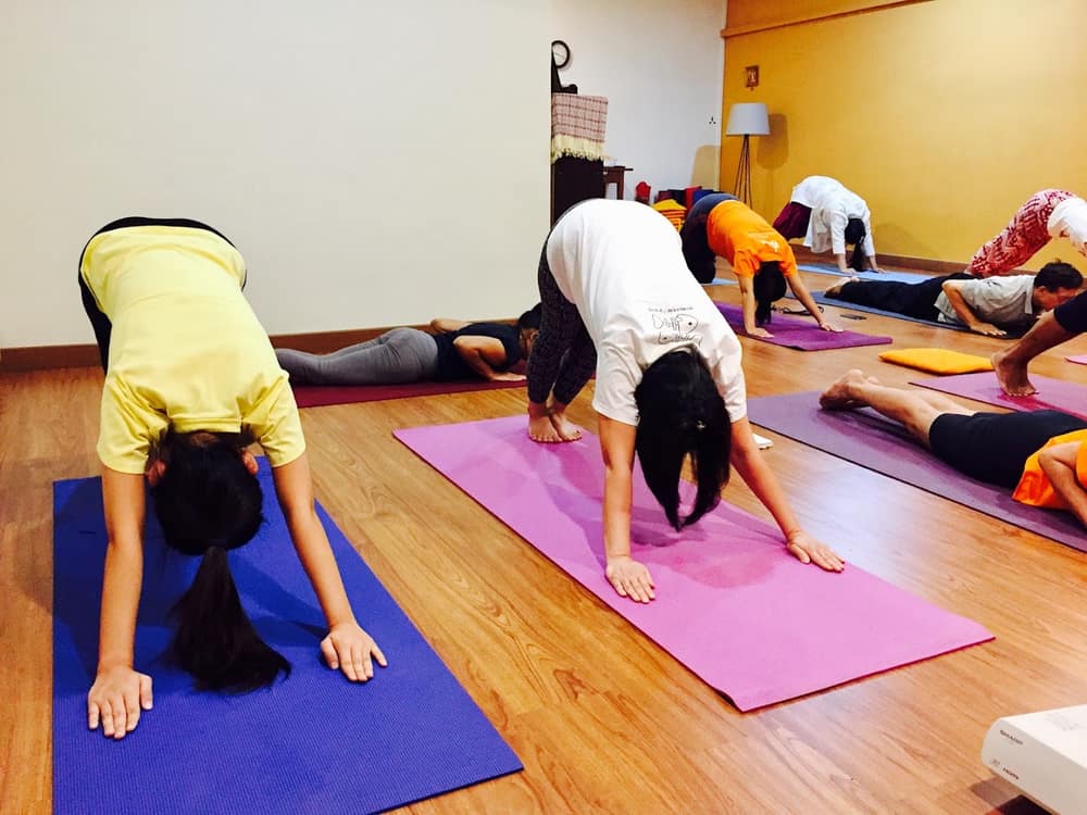 Pushpaja Yoga & Light Healing Center — photo 3