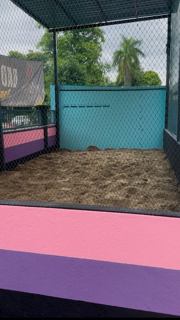 Rainforest Fitness — photo 2