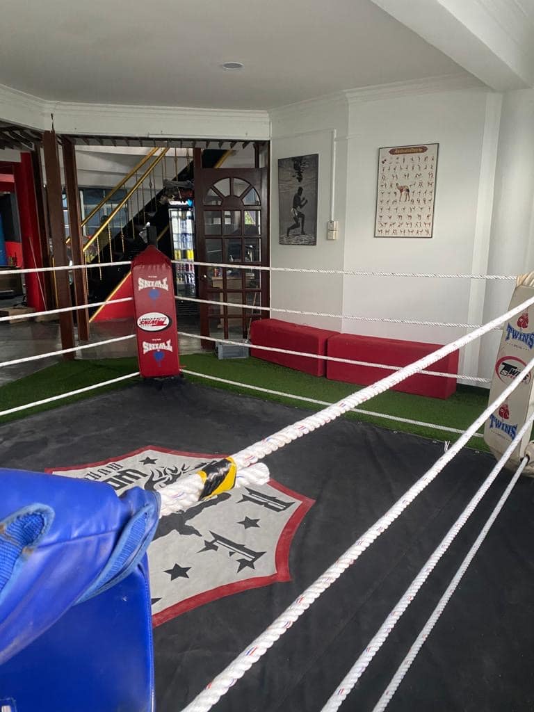 Red Wolves Muay Thai ( HQ ) — photo 1