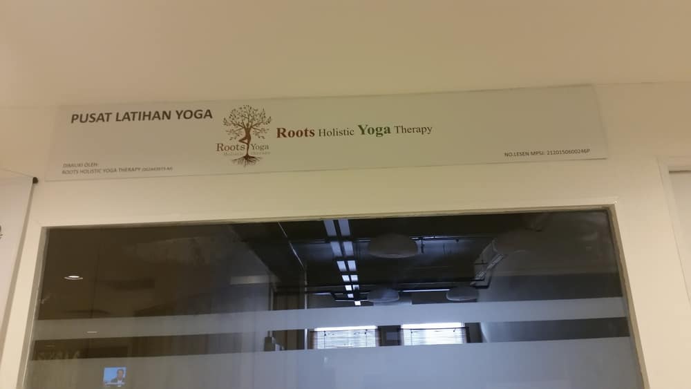 Roots Holistic Yoga Therapy — photo 3
