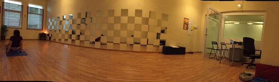 Roots Holistic Yoga Therapy — photo 5