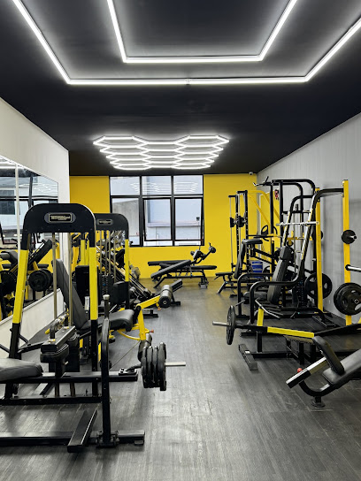 Shark Gym in Shah Alam