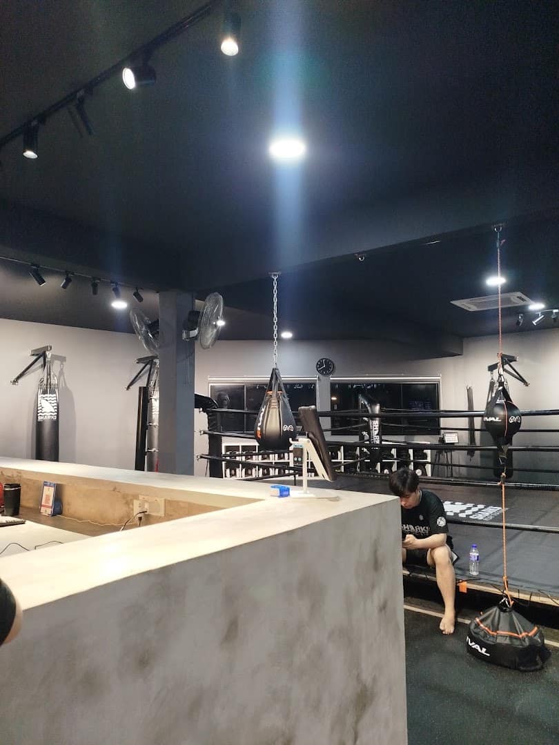 Sharks Muay Thai & MMA | Damansara Branch — photo 4