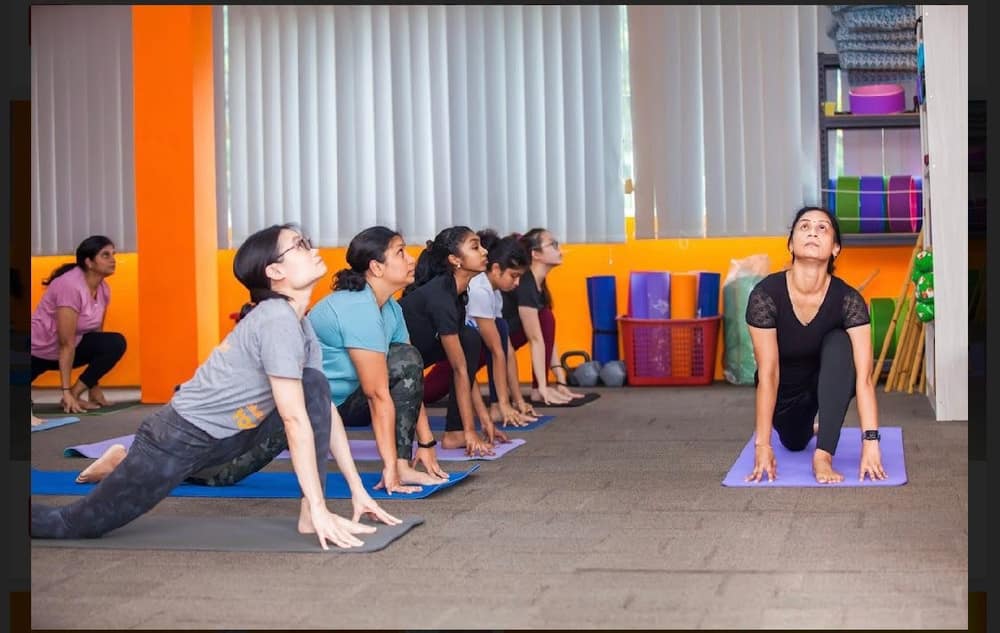 Shishya Yoga & Wellness Studio — photo 5