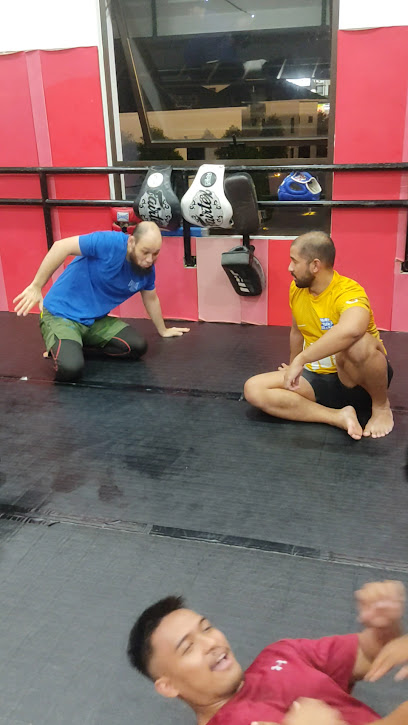Southside MMA (BJJ JIU-JITSU BOXING MUAY THAI MMA) in Johor Bahru