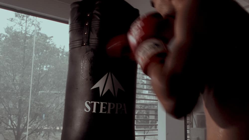 STEPPA Active — photo 1