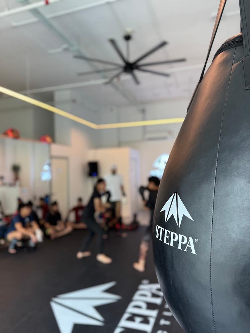 STEPPA Active — photo 6