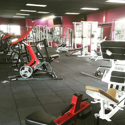 Techno Gym & Fitness in Kuala Lumpur