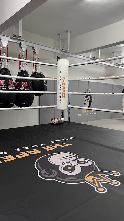 THE APES MUAY THAI & MMA in Butterworth