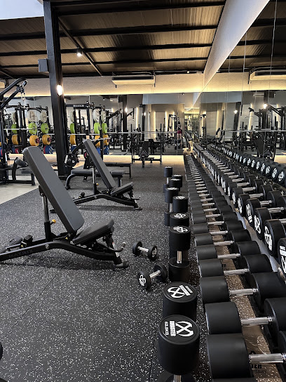 The One Fitness Plus in Kuala Lumpur