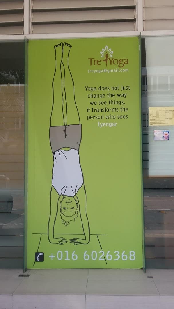 Treyoga Iyengar Yoga — photo 5