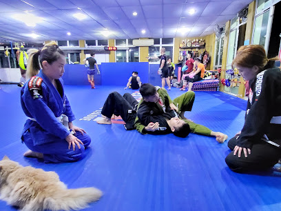 Ultimate Mixed Martial Arts Academy in Johor Bahru