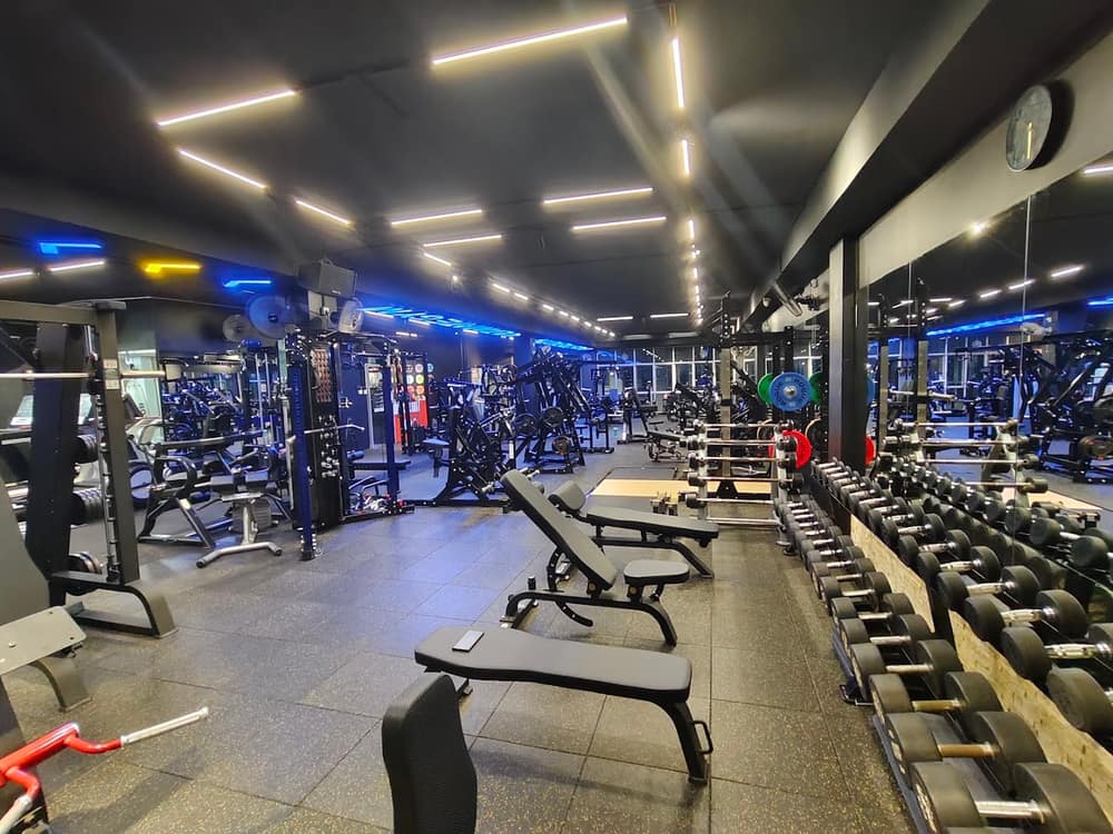 Ultimate Plus Muay Thai Gym — photo 1