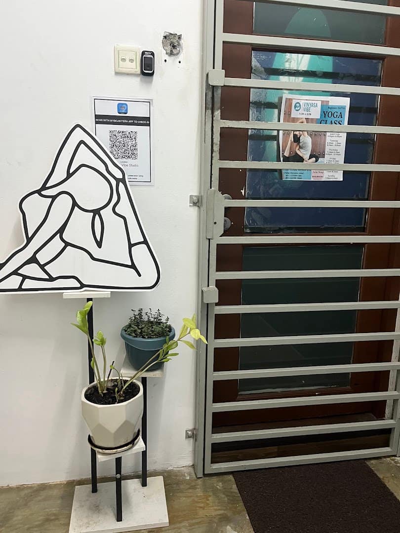 Vinyasa Vibe Studio — photo 5