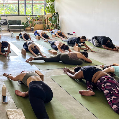 Yogis with Ferns in Iskandar Puteri